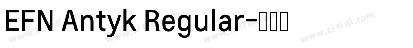 EFN Antyk Regular字体转换
